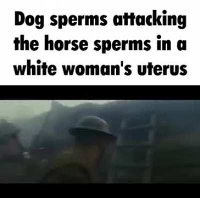 Horse girls:
