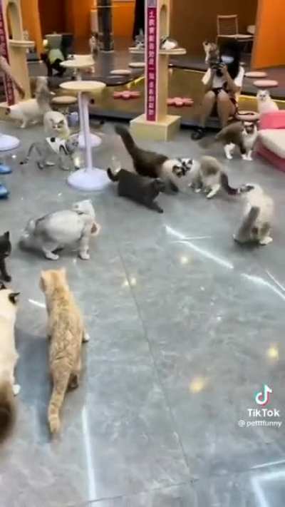 they chose violence
