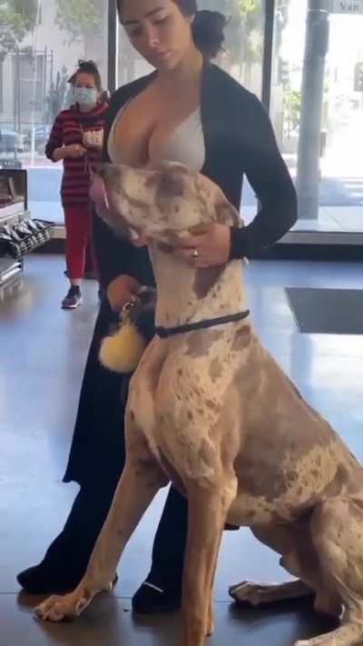 Big Dawg!