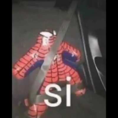 Si