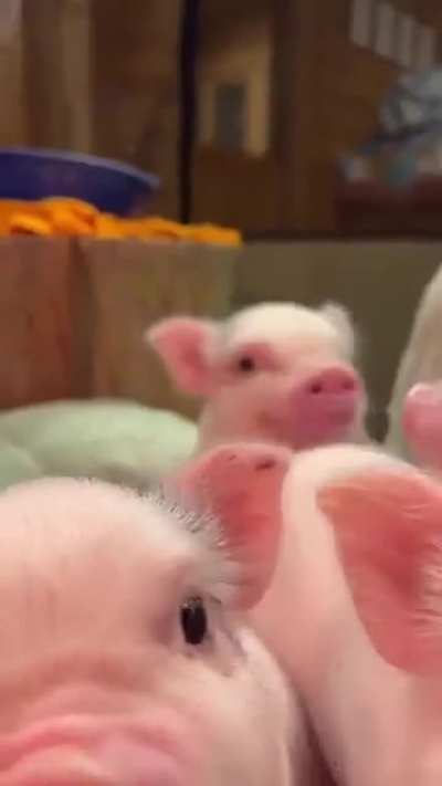 this cured my depression for 20 seconds