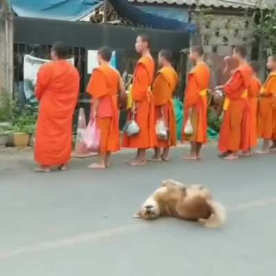 The monk&rsquo;s greatest test is to not pet the doggo