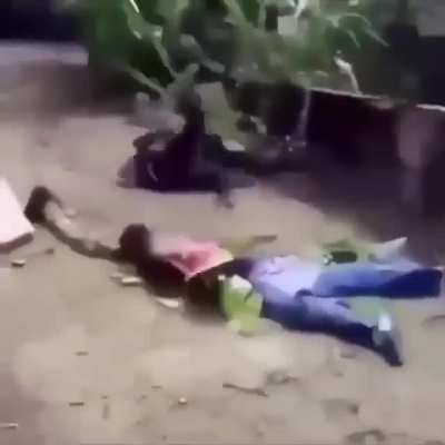 African karate niggas?