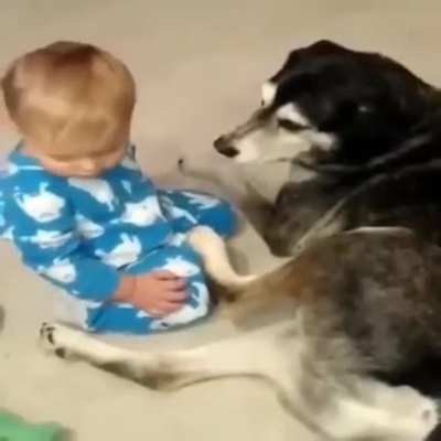 Cutest sleep fall