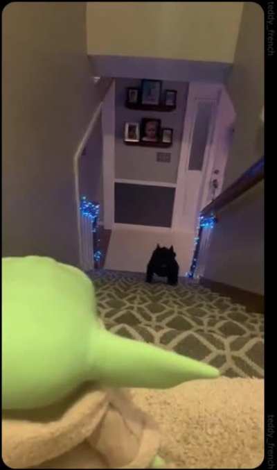 He is SPEEEEED