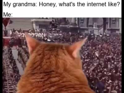 Internet cat overthrows government declares itself god emperor
