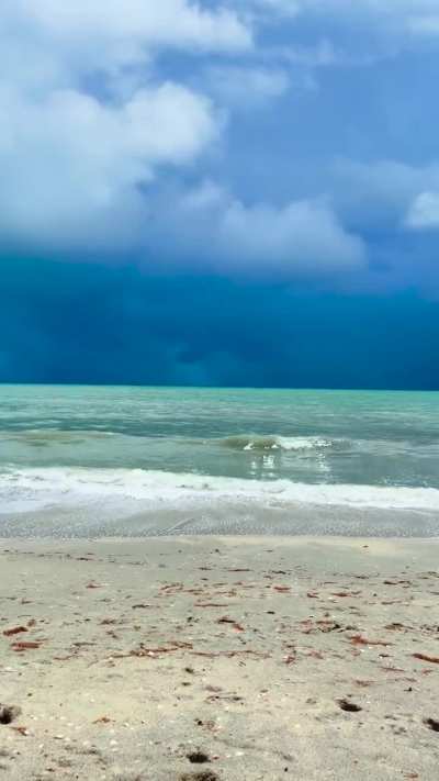 dramatic beach day