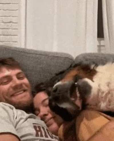 If you haven't seen anything cute today...