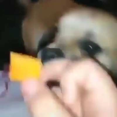 Who else would like a Cheez-it?