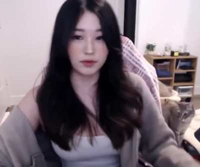 Hyoon Stream Clip