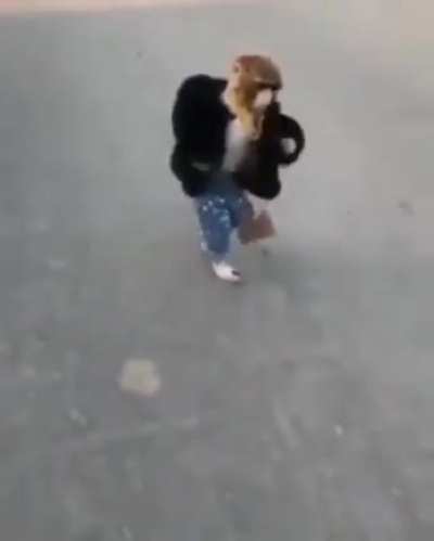 Hmmm monkey