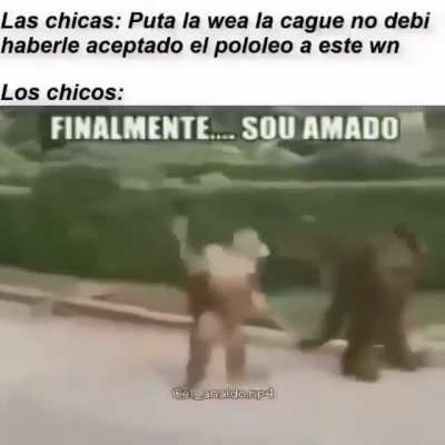 Xd