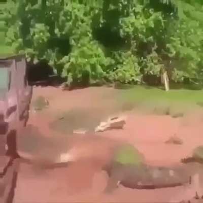 hmm