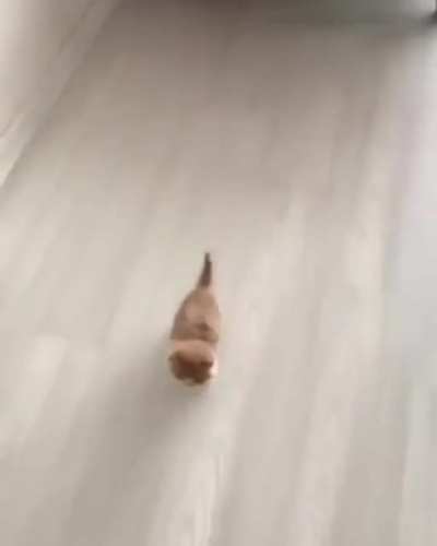 Starting to ignore physics