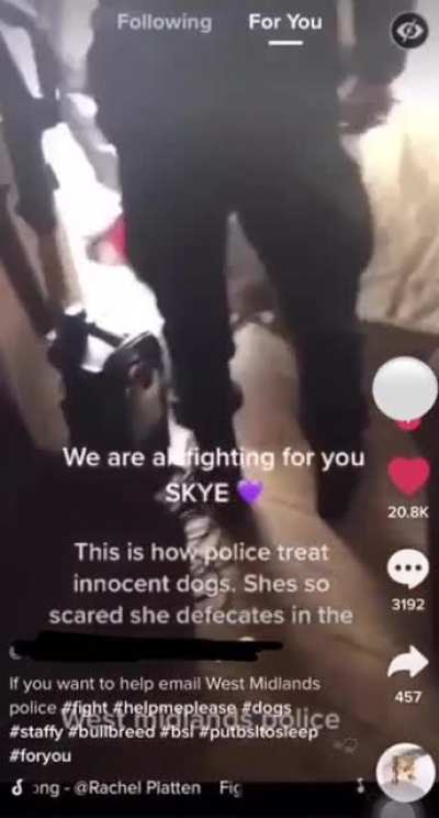 Owner didn&rsquo;t comply with court orders for responsible ownership (link to article in comments)