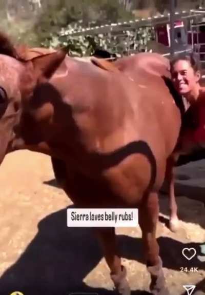 Losercity horse