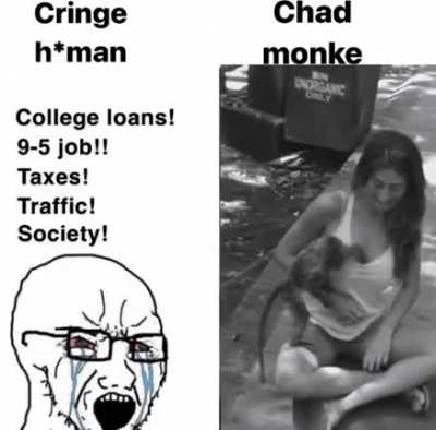 Monke