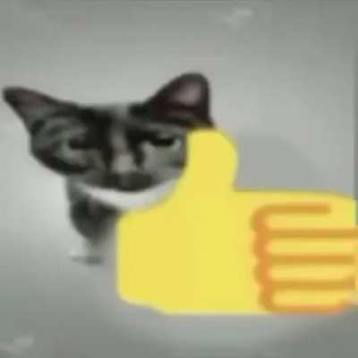 Gatos