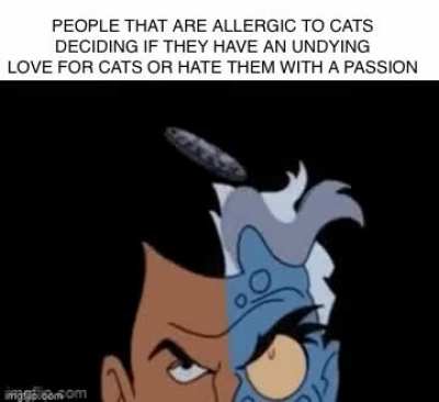 Kitty mrrp meow