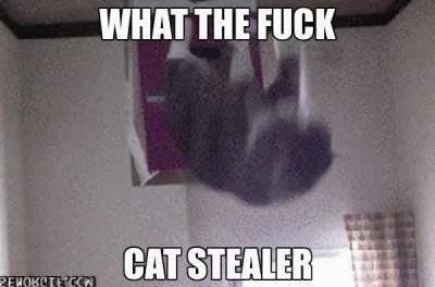 oh no