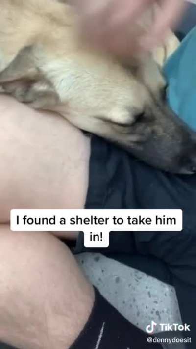 Bring Sampson Home