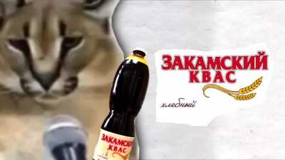 Big Floopa likes Kvass
