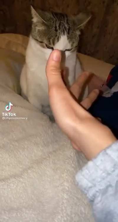 Thumbs Vs. Paws
