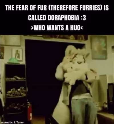 Furry_irl