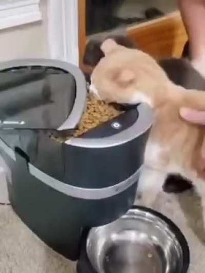 Мегакусь!