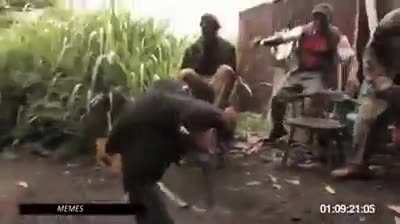 Apes rises !