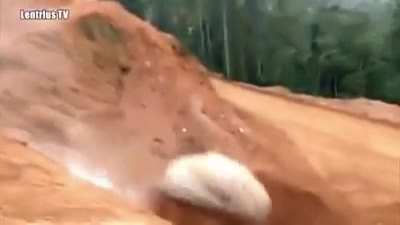 just rolling a little stone into the pond