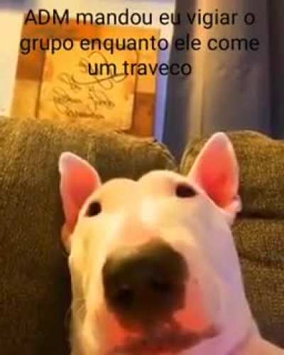 Pode falar a&iacute; ADM, n&atilde;o &eacute; verdade?