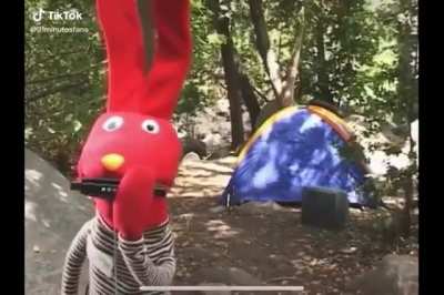 Yo