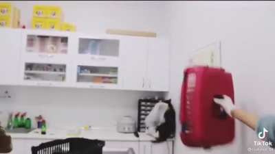 Vet time purrkour