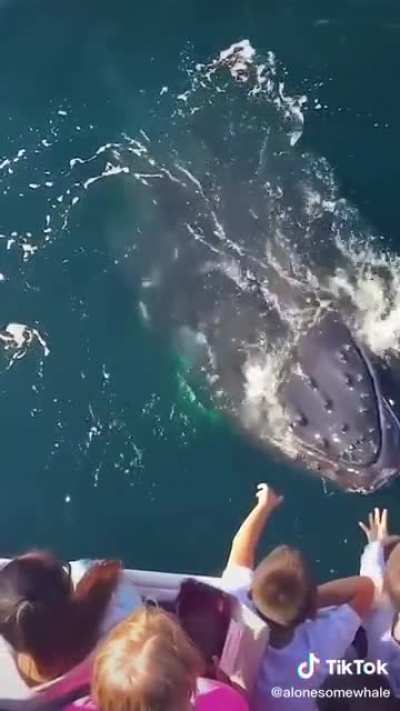I really just can&rsquo;t do the ocean...anything can come from anywhere even from above something can jump up and dive right back in while eating u....