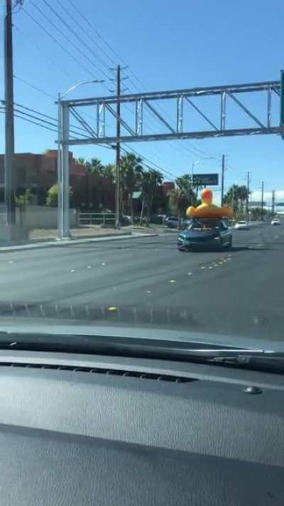 You see a lot of weird shit when visiting Vegas...sound on🔈
