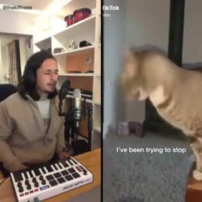 Sneezing Cat - Blinding Lights cover by The Kiffness
