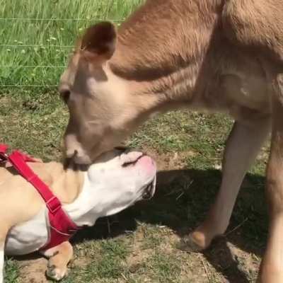 What&rsquo;s &ldquo;personal space&rdquo;?
