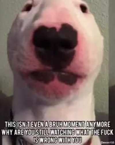 what the fuck.
