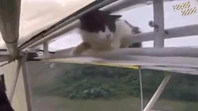 oh no!