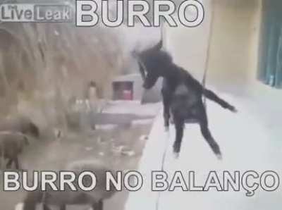 Essa imagem &eacute; proibida em 300 pa&iacute;ses