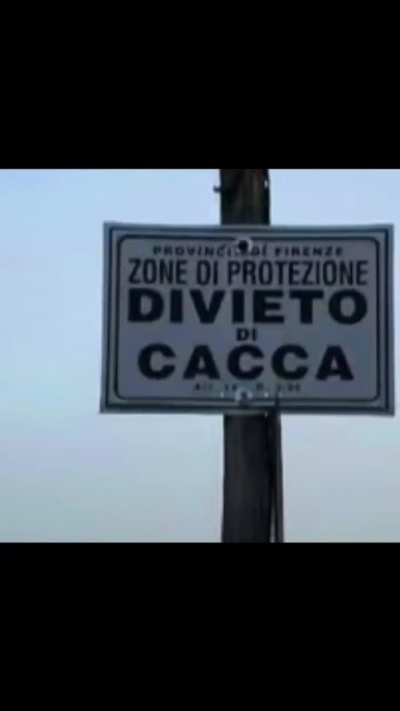 Cartelli belli