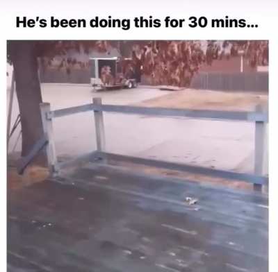 Weeeeeee!