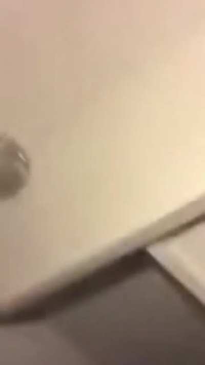 FOOOON