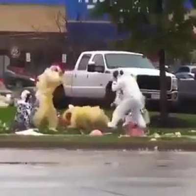Cows and chickens fight 😂