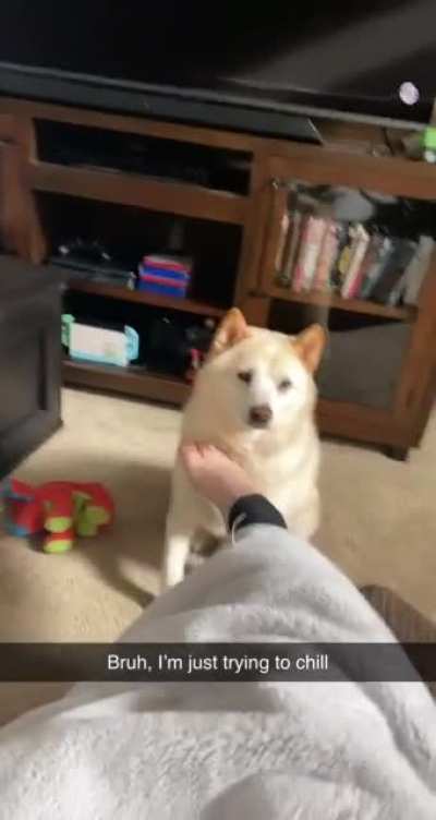 He&rsquo;s so demanding!