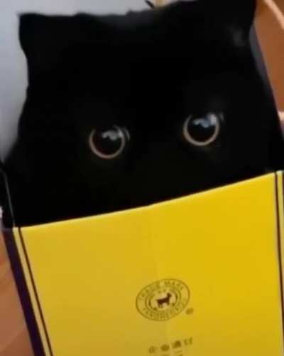 The void attacks