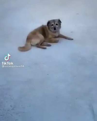 Полезное изобретение