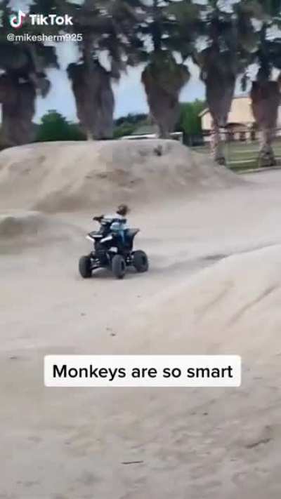 Fast &amp;amp; Curious