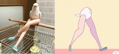 Blursed_Birb